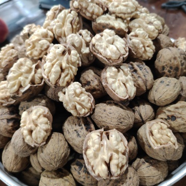 大凉山鲜核桃