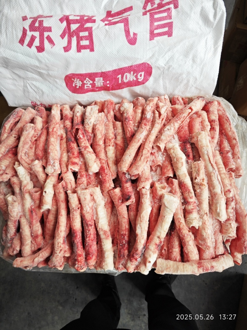 大红门猪气管