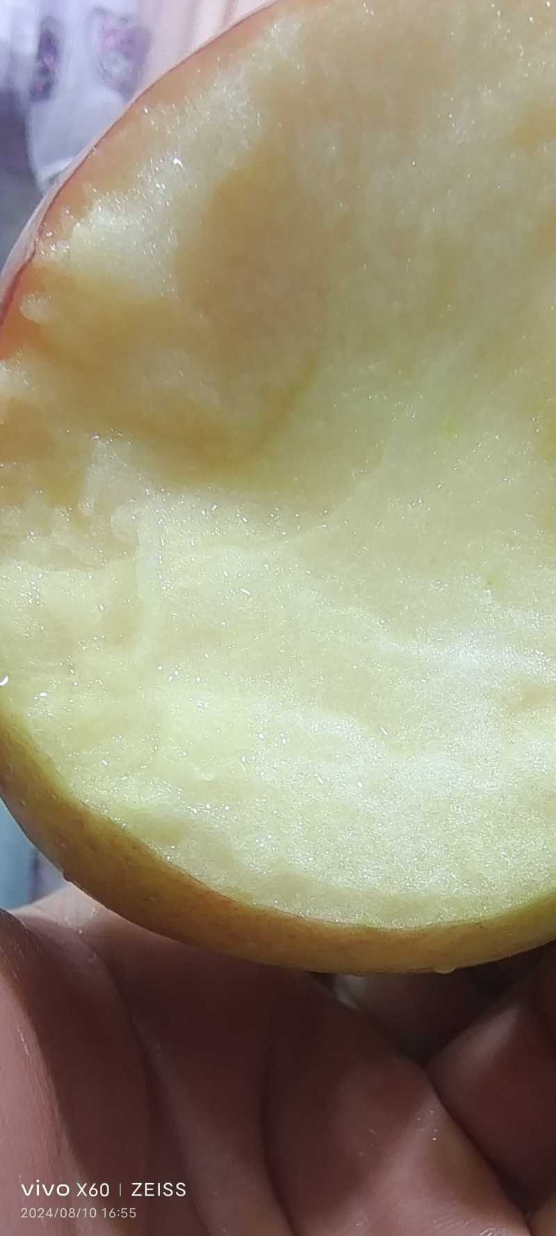 山东鲁丽苹果