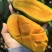 百色芒果之乡