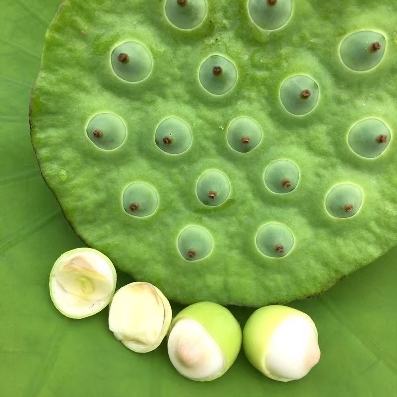水果莲蓬