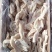 无骨鸭掌货全工厂直发手续都齐全质量保证规格齐全质量保证