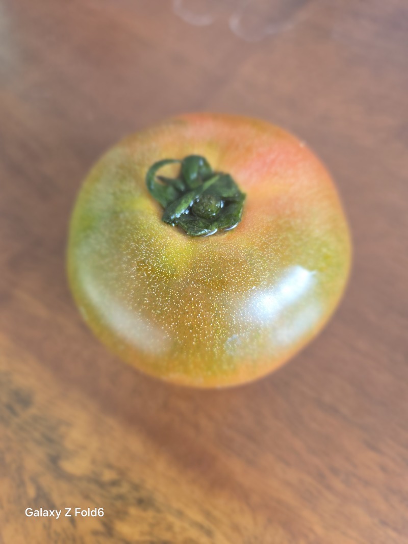 口感番茄
