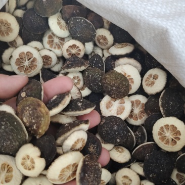 枳壳