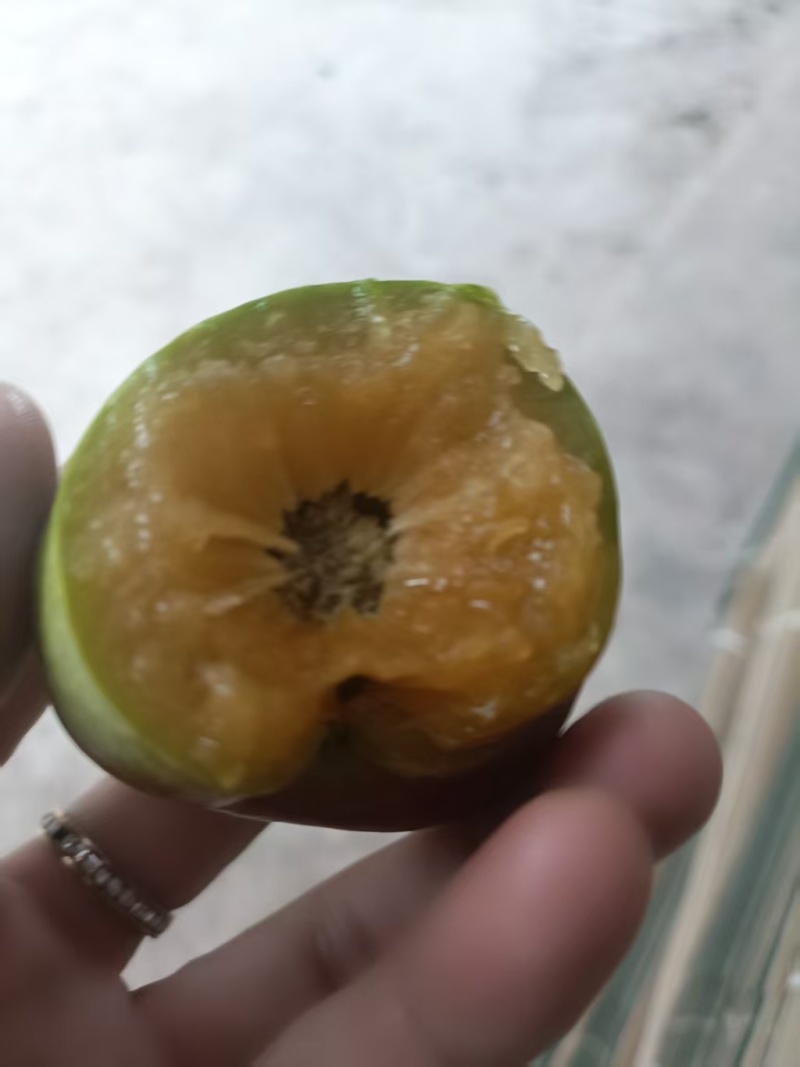 重庆奉节县脆李