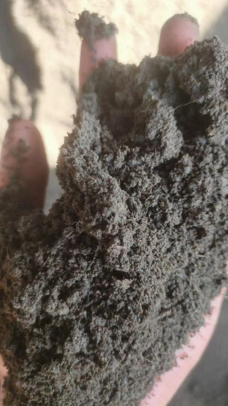 发酵有机肥羊粪