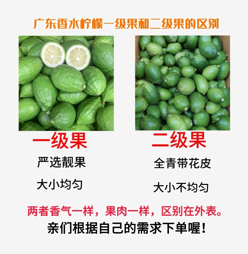 广东香水柠檬