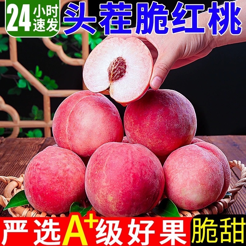 河北新鲜水蜜桃脆桃桃子一件代发