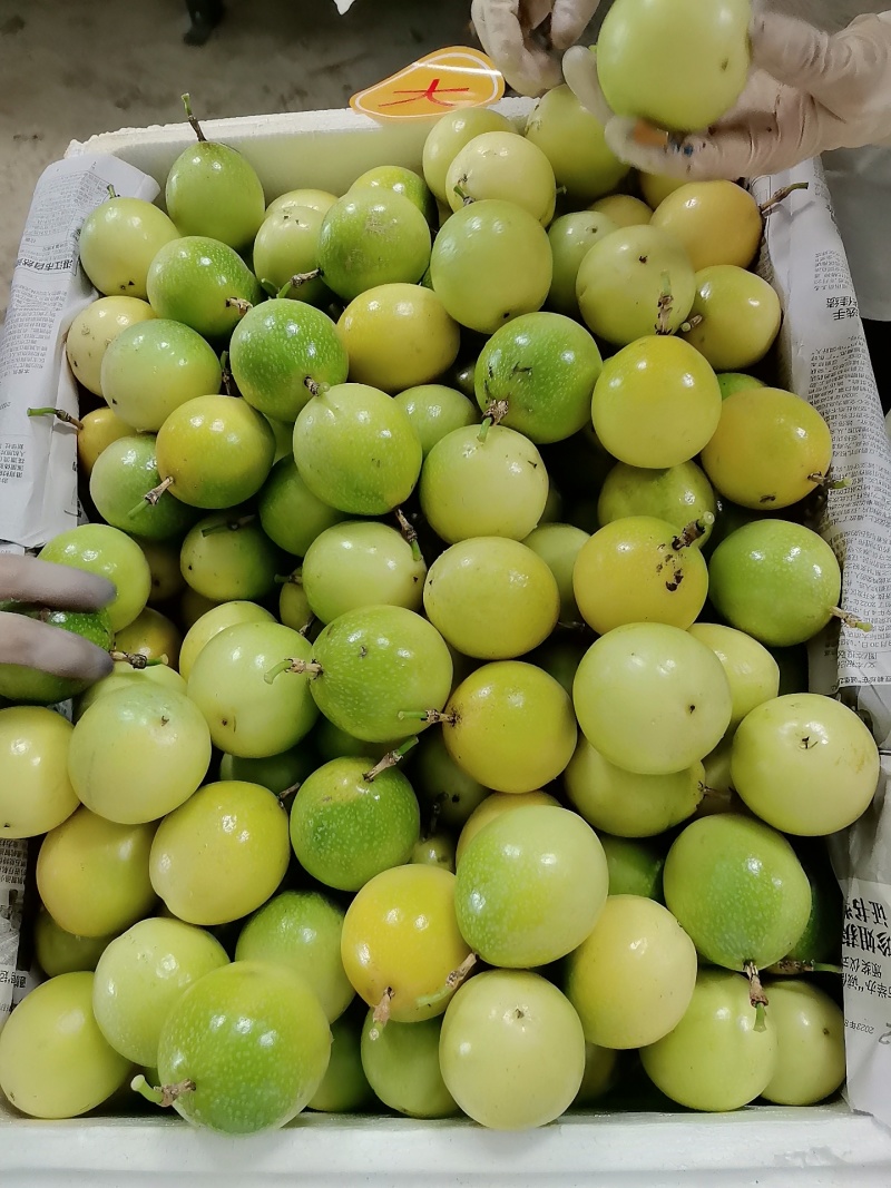 百香果