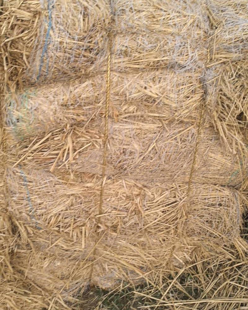 稻草（压草方格用）