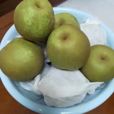 彭州六月脆