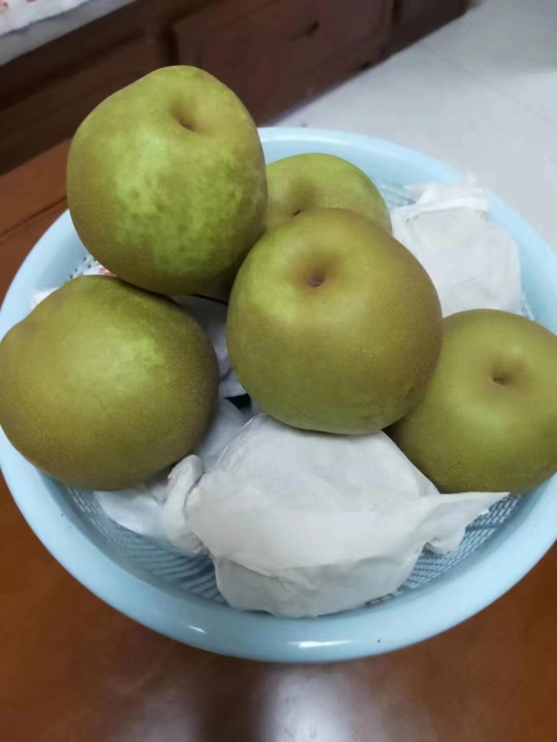 彭州六月脆