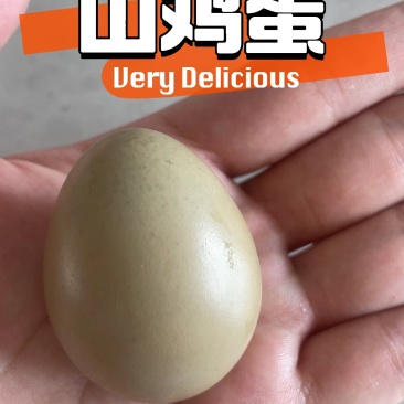 七彩山鸡蛋