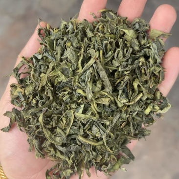 茶头云雾茶