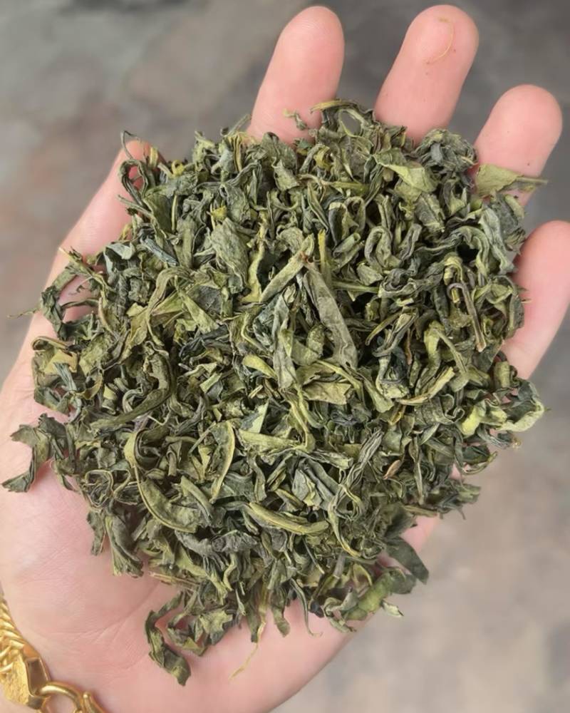 茶头云雾茶