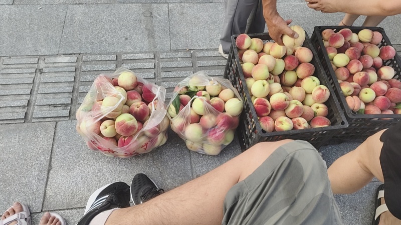 蜜桃白凤桃