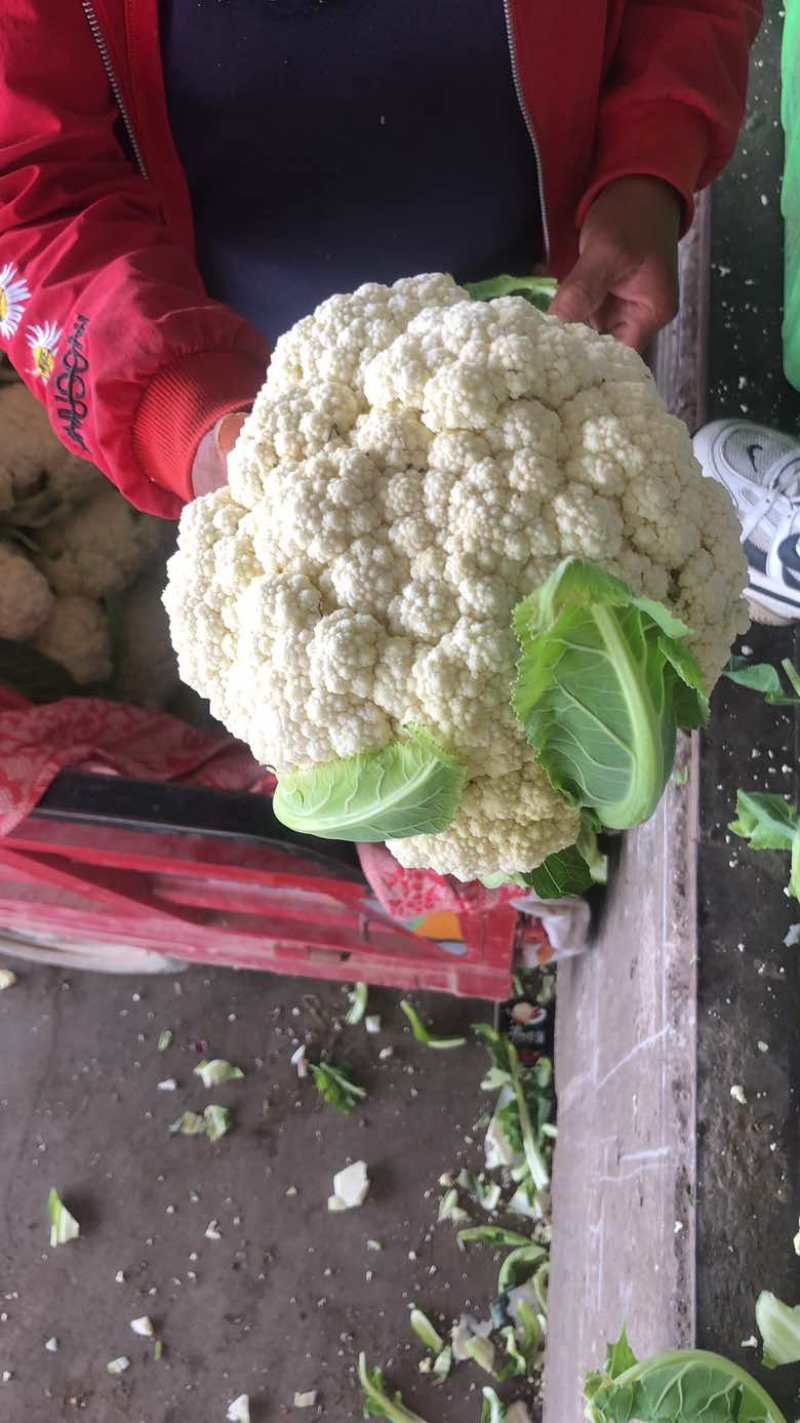 散花
