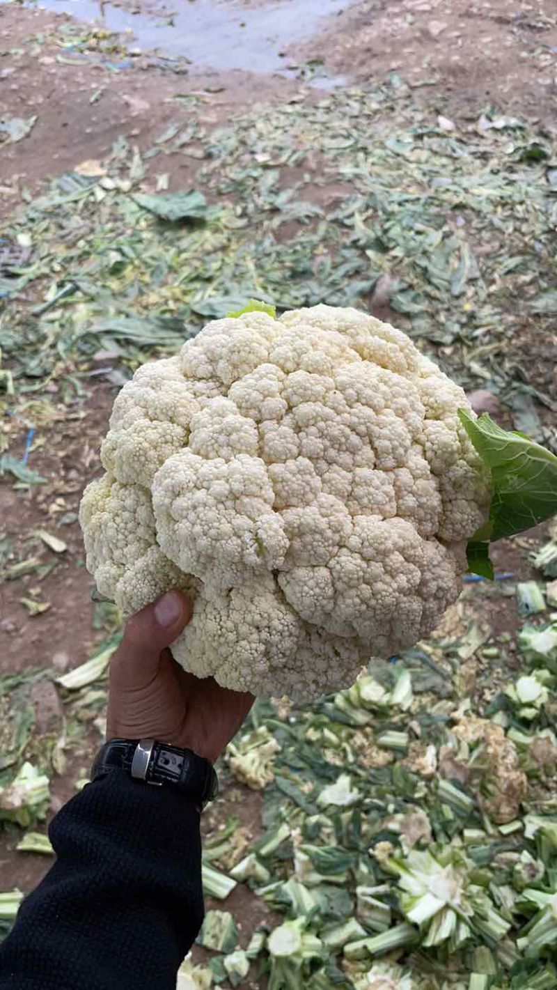 散花