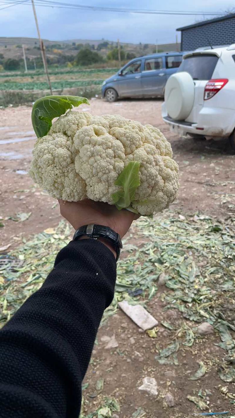 散花