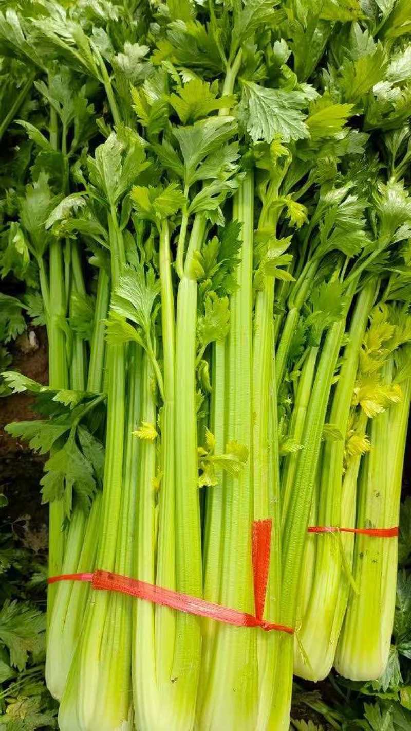 西芹