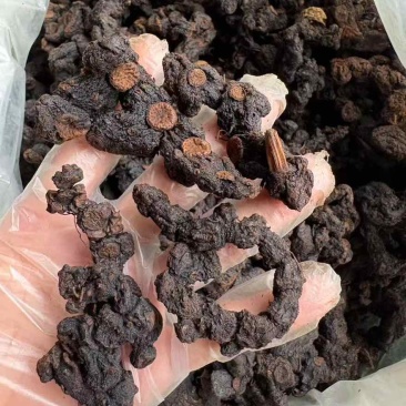 农家良心纯野生黄精保证九蒸九晒中小大个五到十年