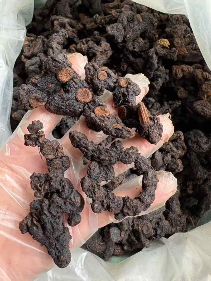 农家良心纯野生黄精保证九蒸九晒中小大个五到十年