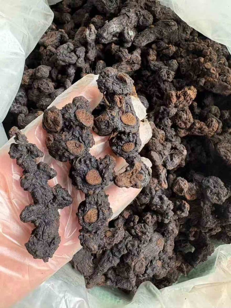 农家良心纯野生黄精保证九蒸九晒中小大个五到十年