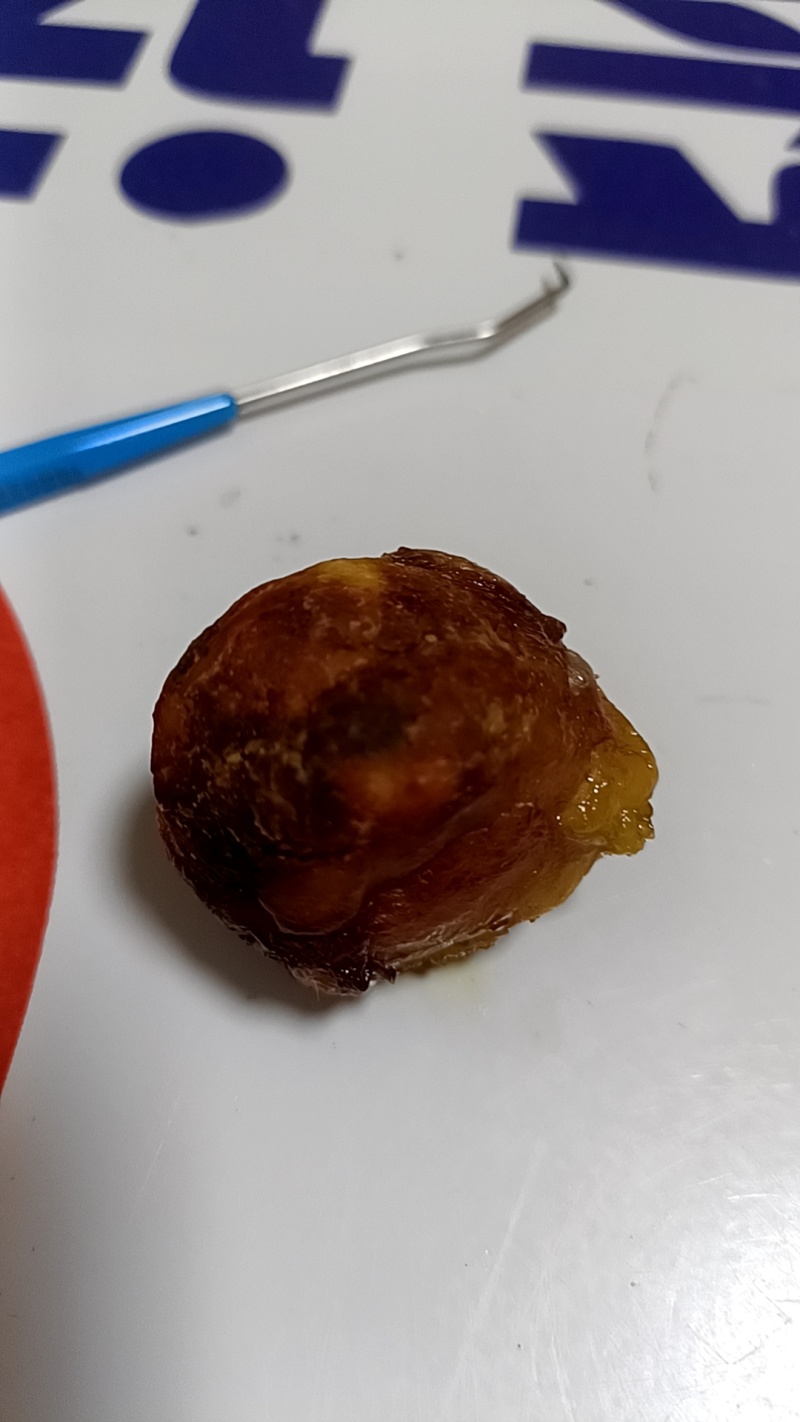 辽宁省鸡宝