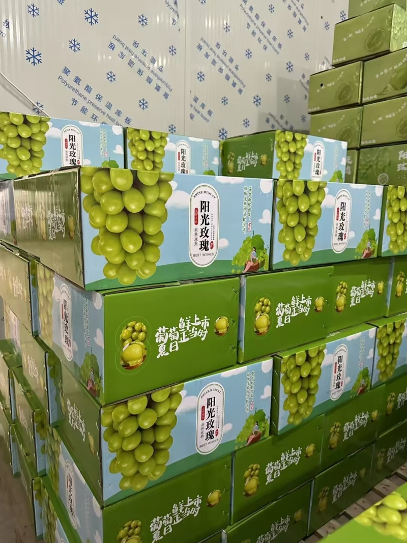 四川阳光玫瑰需要的联系