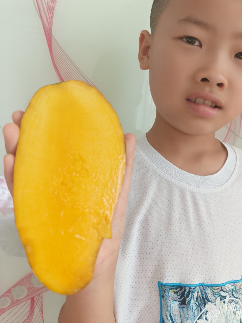 凉山德昌热河芒果