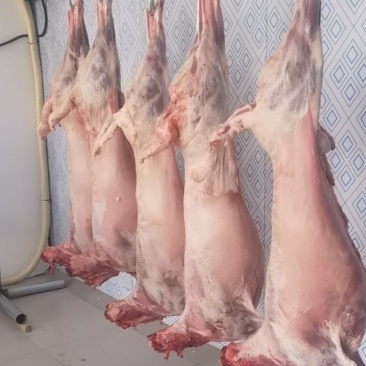 现杀牛羊肉