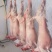 现杀牛羊肉