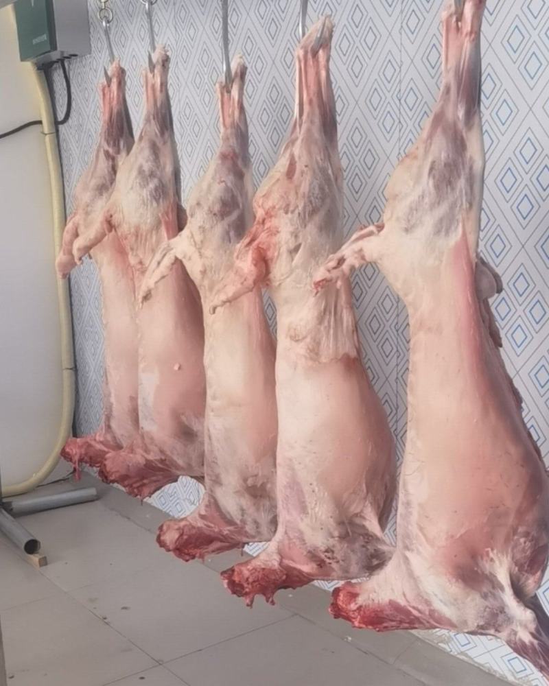 现杀牛羊肉