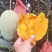 软糯香甜的芒果干