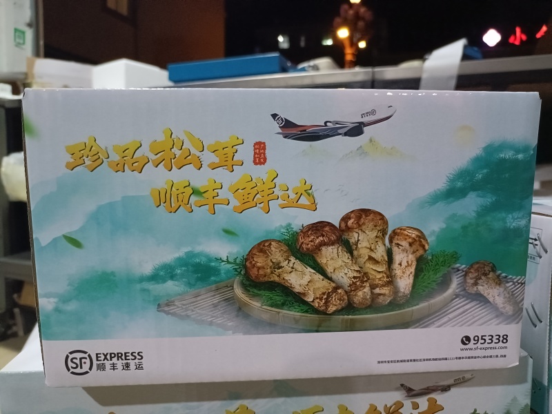 小金松茸