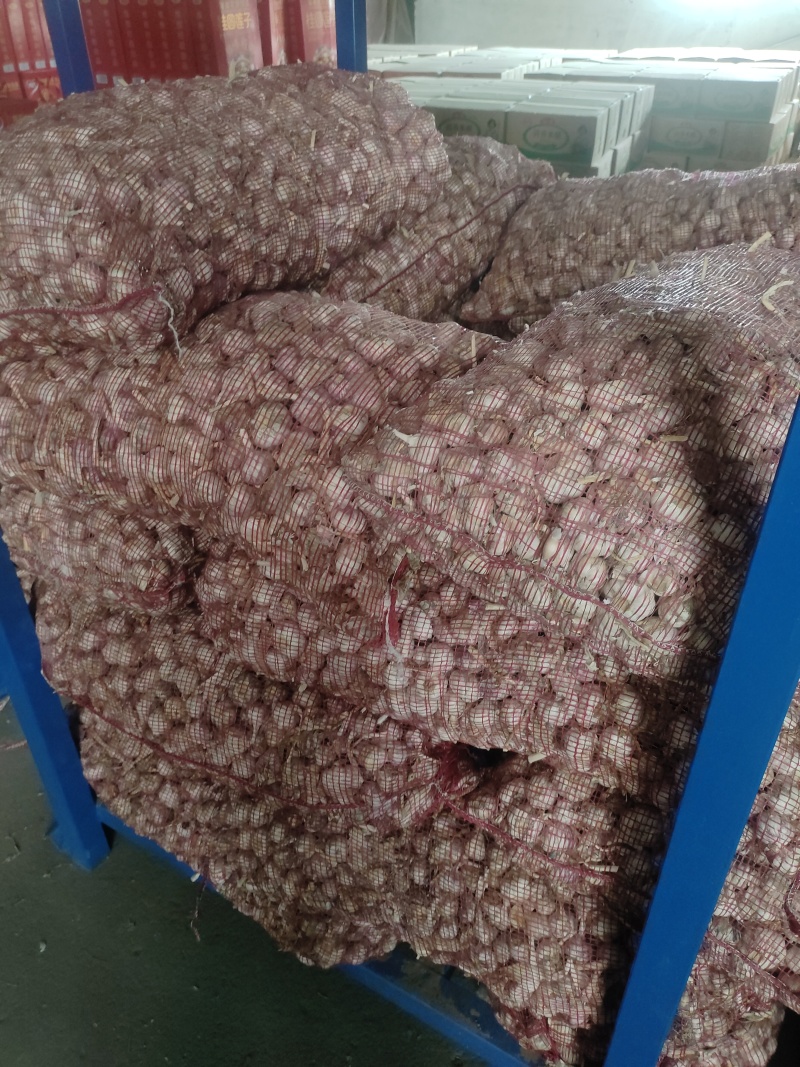 邳州大蒜