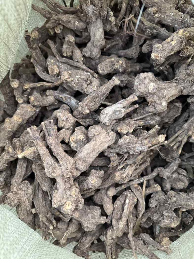 出售各种规格白术