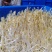 【送货上门】农家新鲜绿豆芽当天采摘水嫩脆爽源头直供