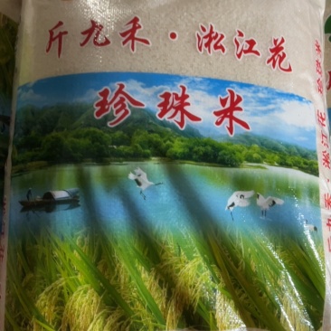 大米