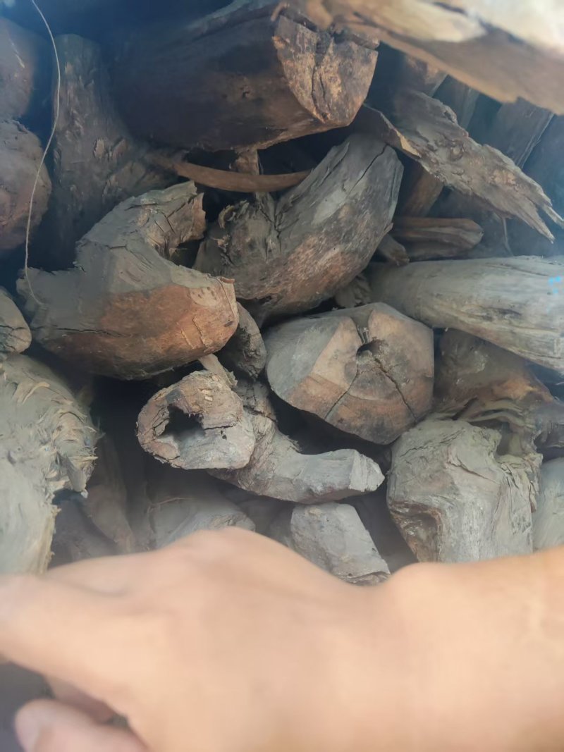 降真香缅甸，