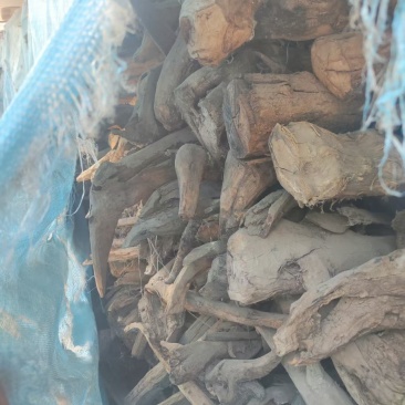 降真香缅甸，