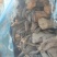 降真香缅甸，