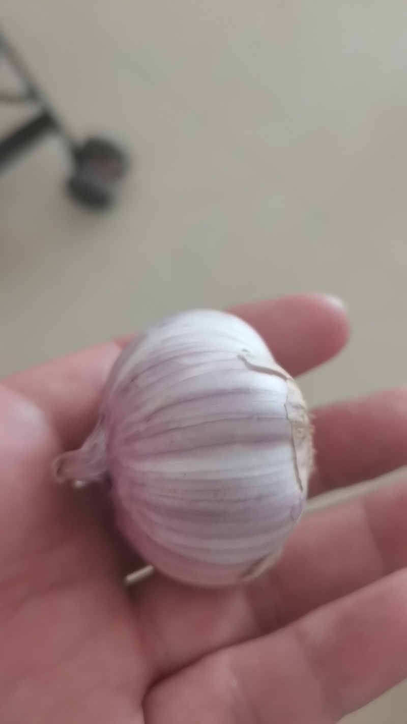 大蒜