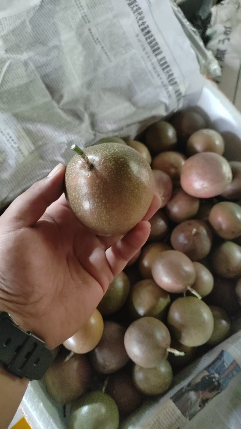 百香果