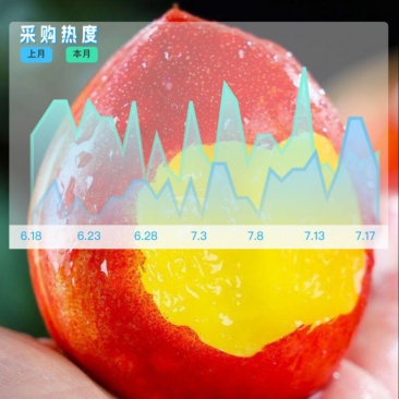 山东油桃