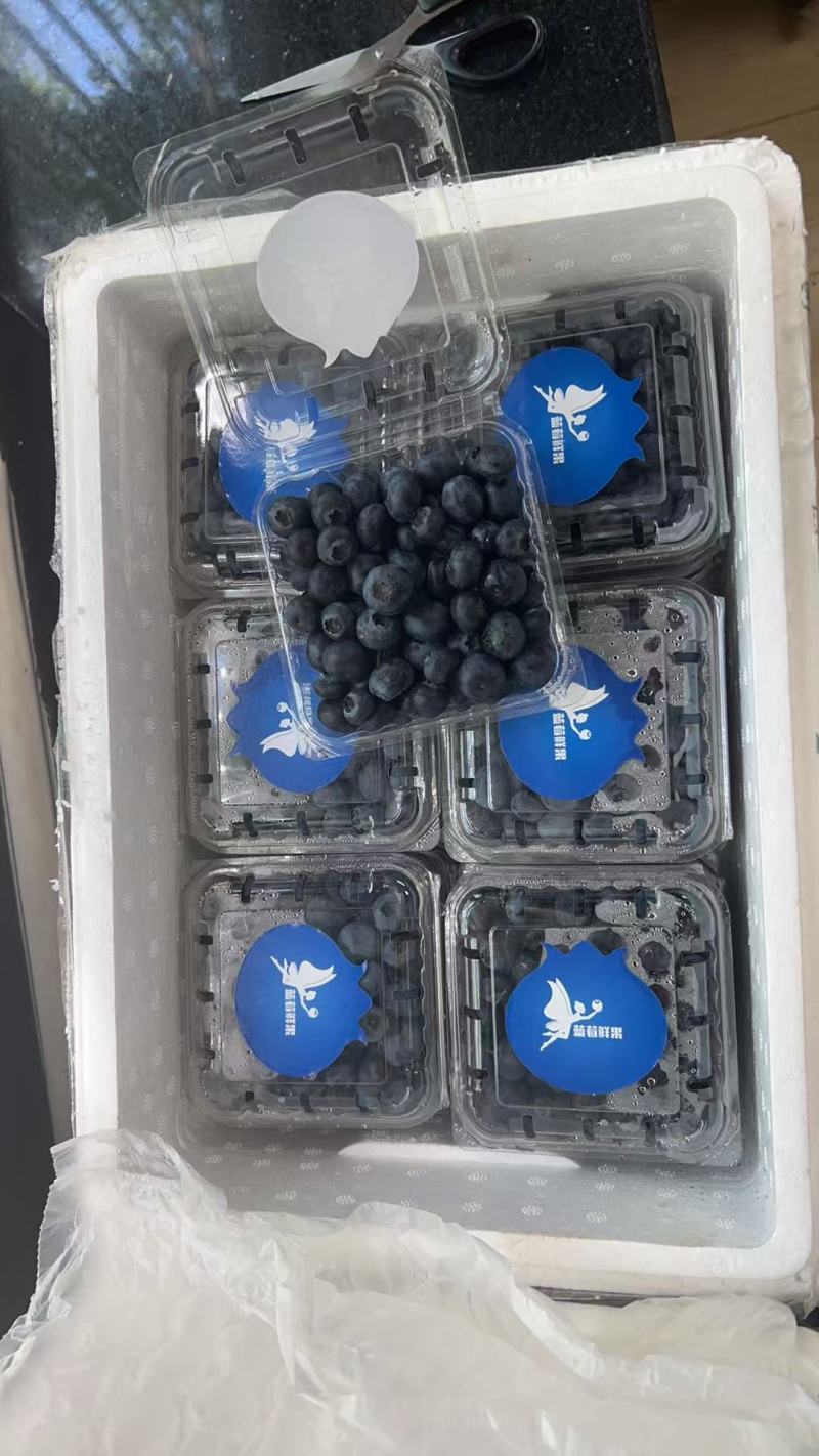 蓝莓鲜果