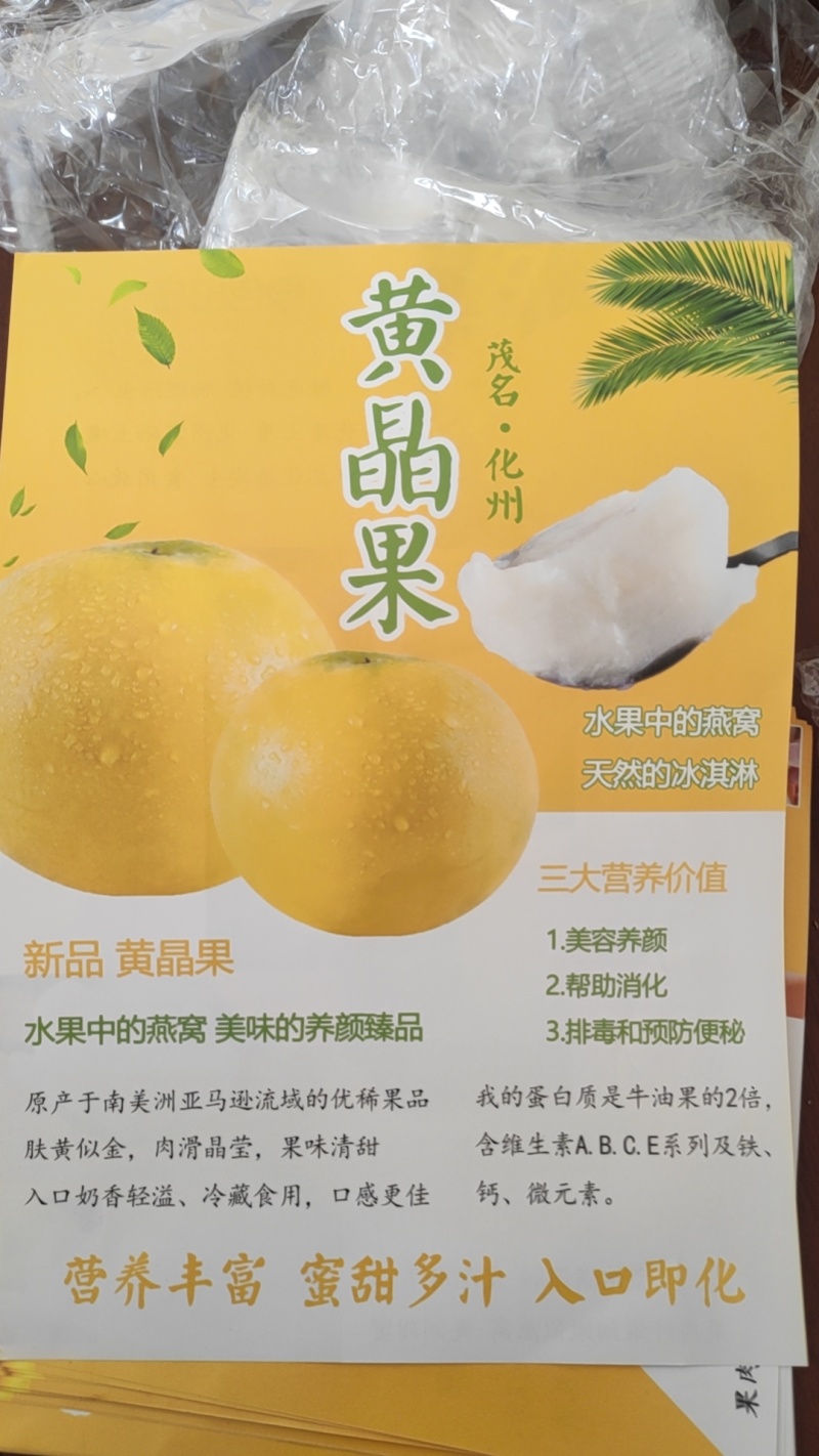 广东化州黄晶果