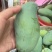 4两-5两