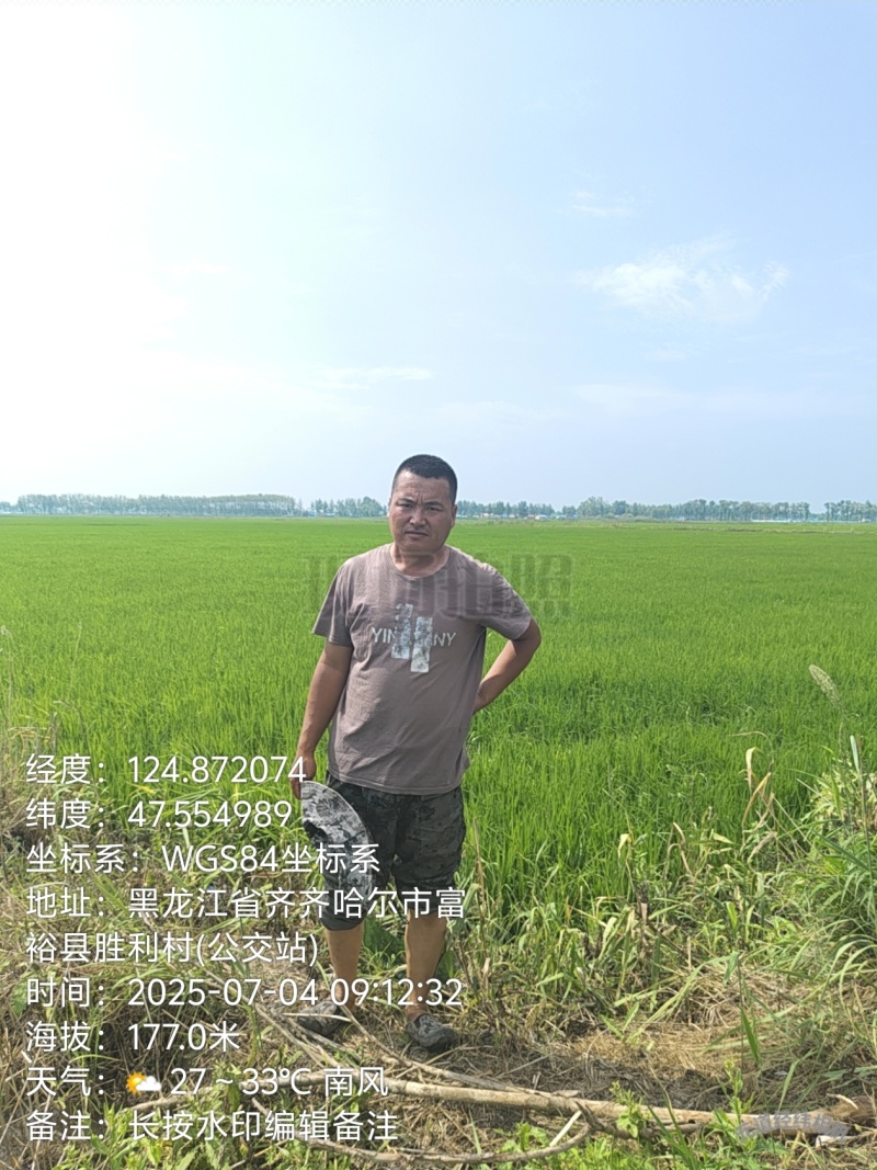 东北大米自产自销