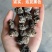 核桃菌产地直发，保证一手货源售后品质有保障，当地最大工厂
